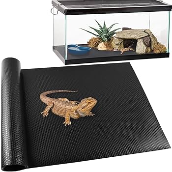 Mader's Reptile and Amphibian 獣医　エキゾチック Mader's Reptile and Amphibian Medicine and Surgery